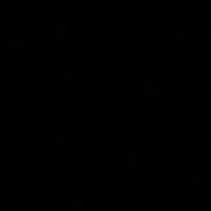 Meet your Posher, Dalila